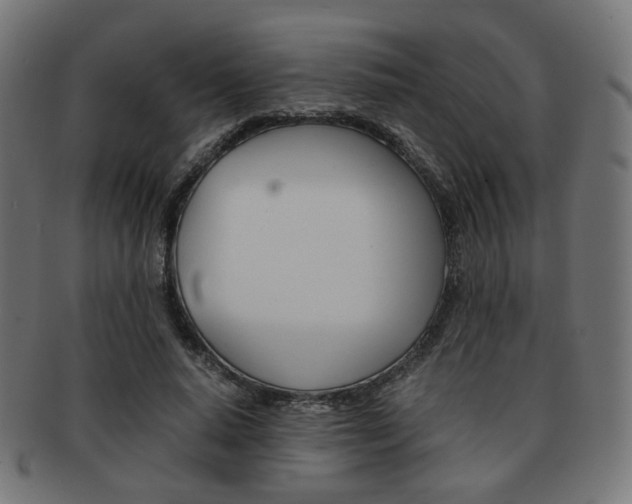 X0000092020640200709061330