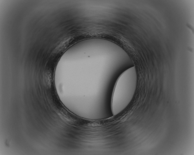 X0000092020644200709061330