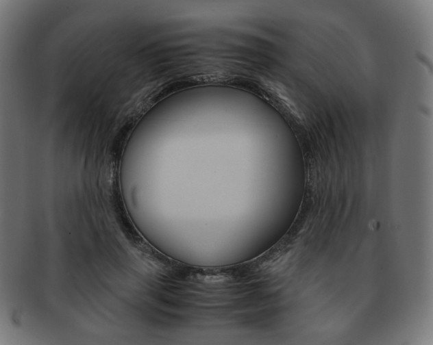 X0000092020645200709061330