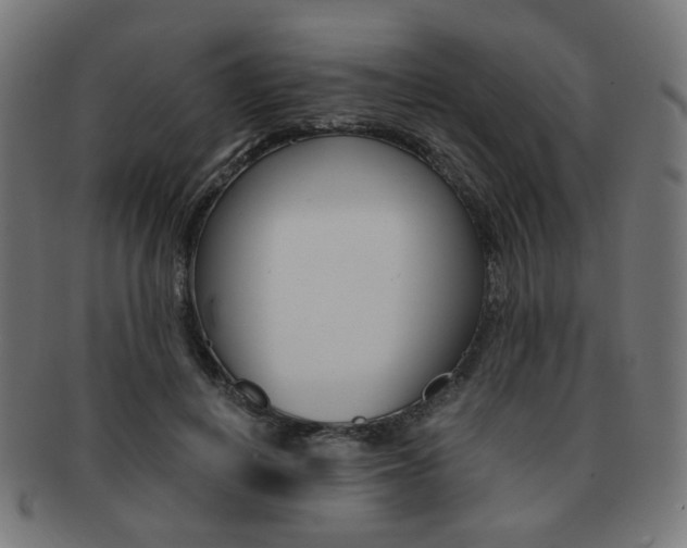 X0000092020648200709061330