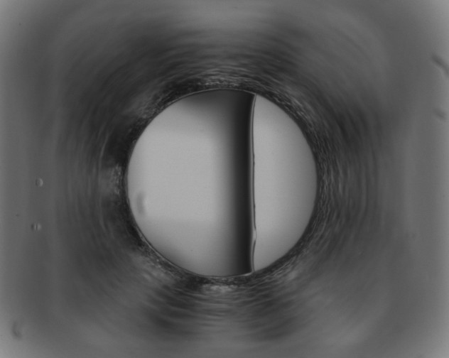 X0000092020649200709061330