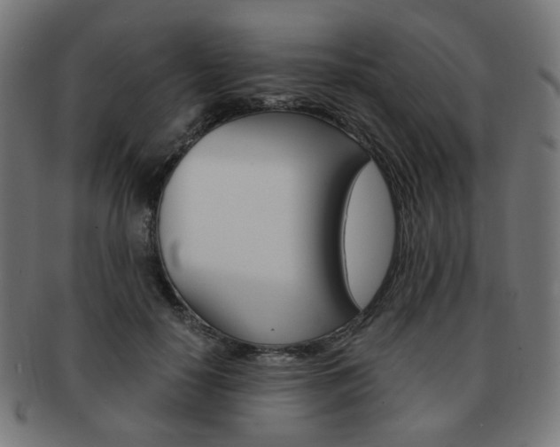X0000092020650200709061330