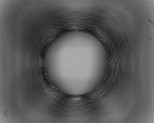 X0000092020651200709061330
