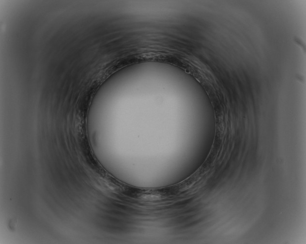 X0000092020653200709061330
