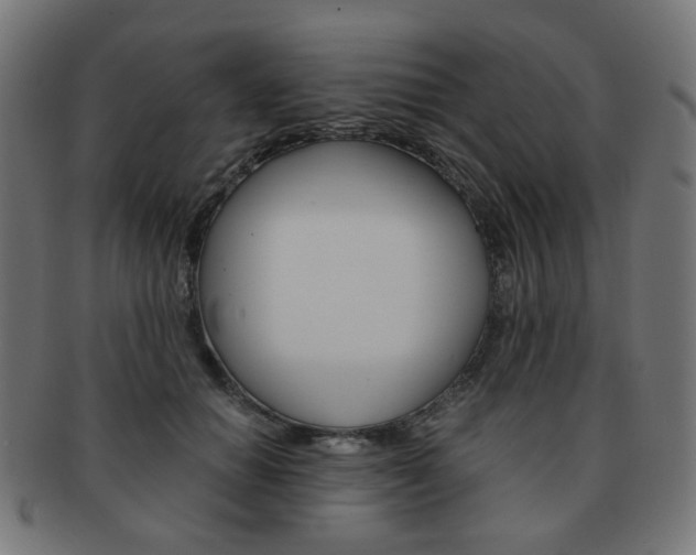 X0000092020654200709061330