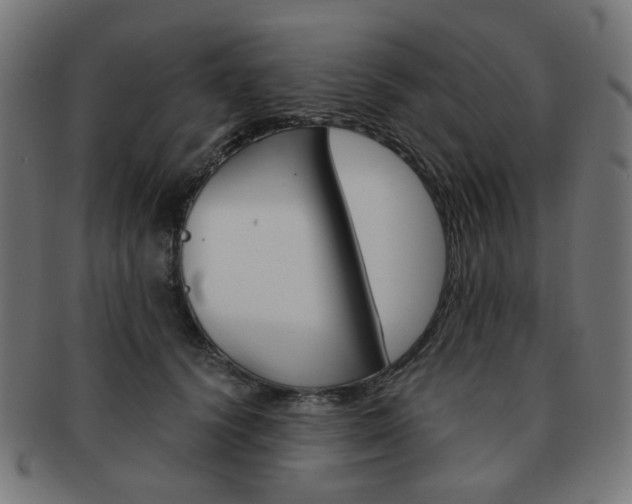 X0000092020656200709061330