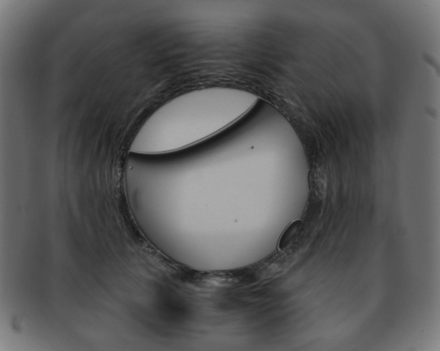X0000092020657200709061330
