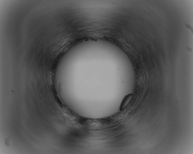 X0000092020658200709061330