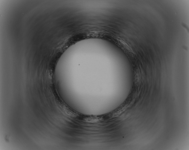 X0000092020661200709061330