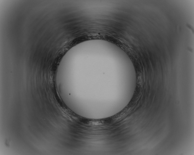 X0000092020662200709061331