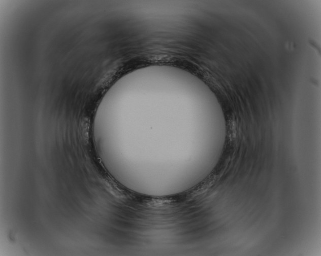 X0000092020664200709061331