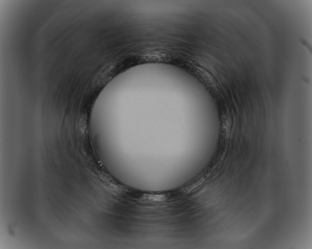 X0000092020665200709061331