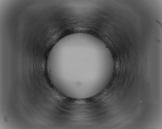 X0000092020668200709061331