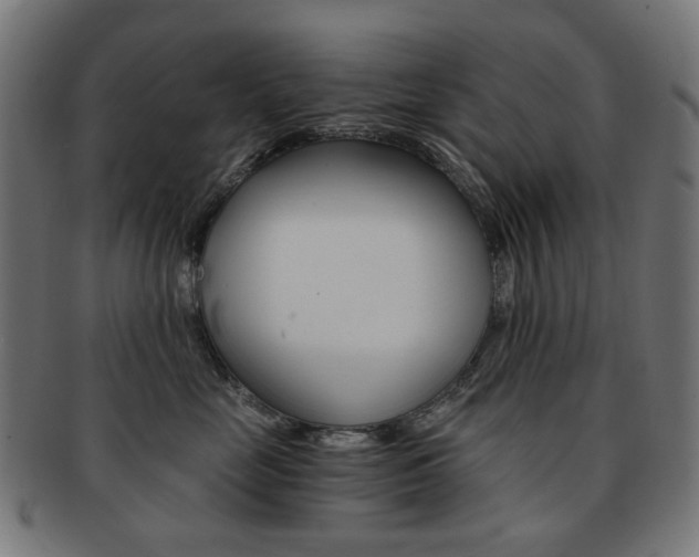 X0000092020669200709061331