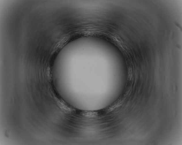 X0000092020670200709061331