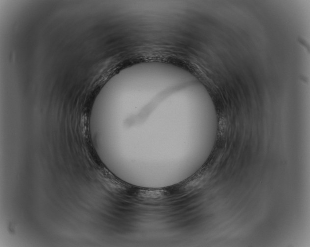 X0000092020671200709061331