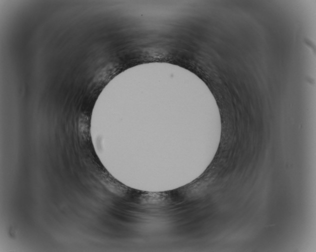 X0000092020672200709061331