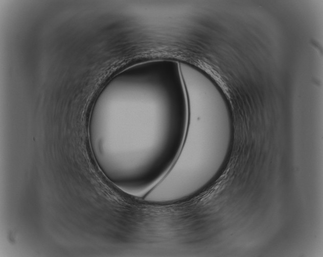 X0000092020673200709061330