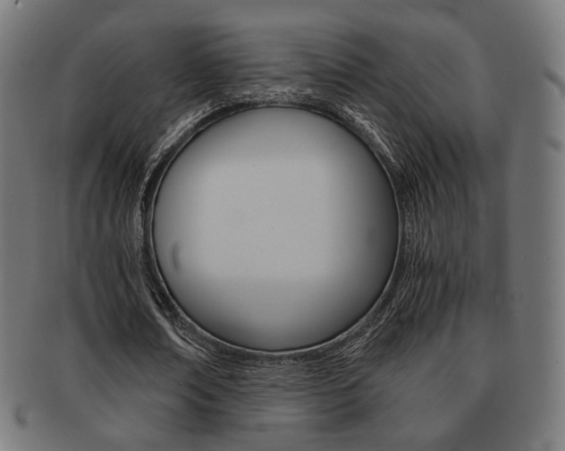 X0000092020674200709061330