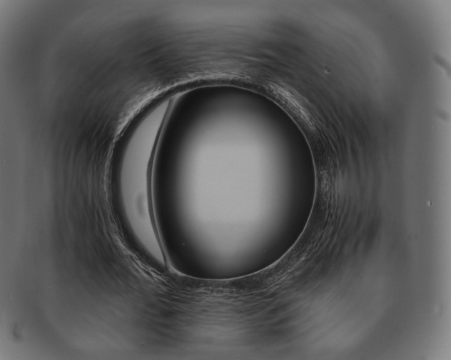 X0000092020676200709061330