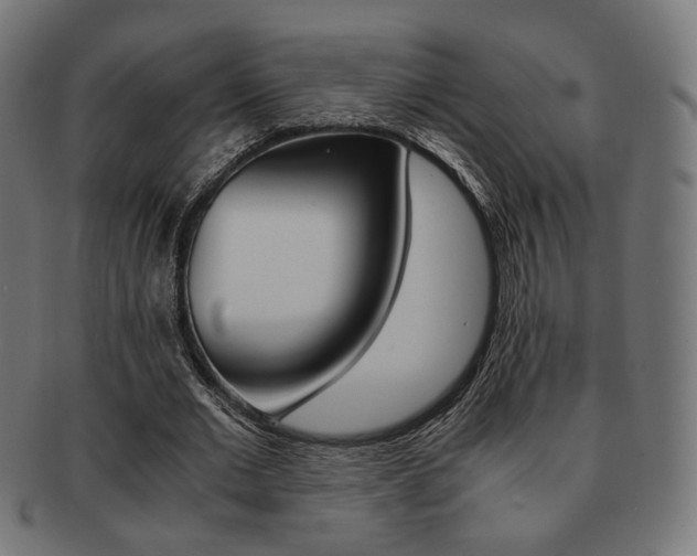 X0000092020677200709061330