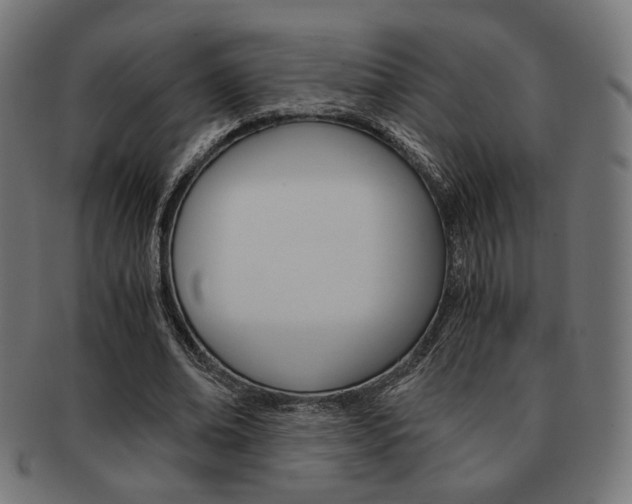 X0000092020678200709061330