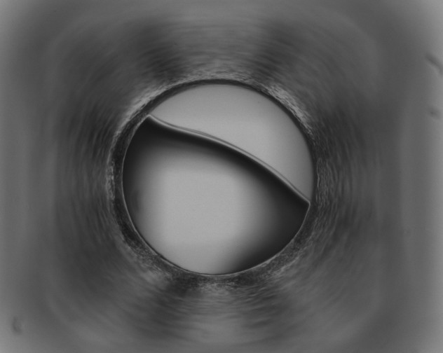 X0000092020680200709061330