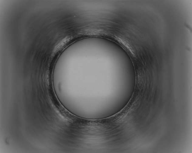 X0000092020682200709061330