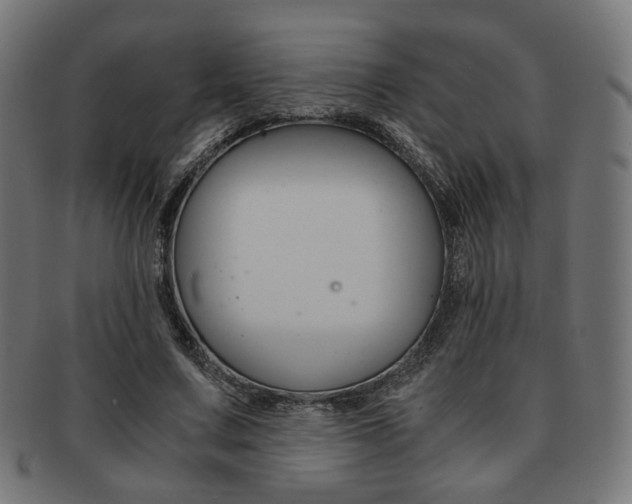 X0000092020683200709061330