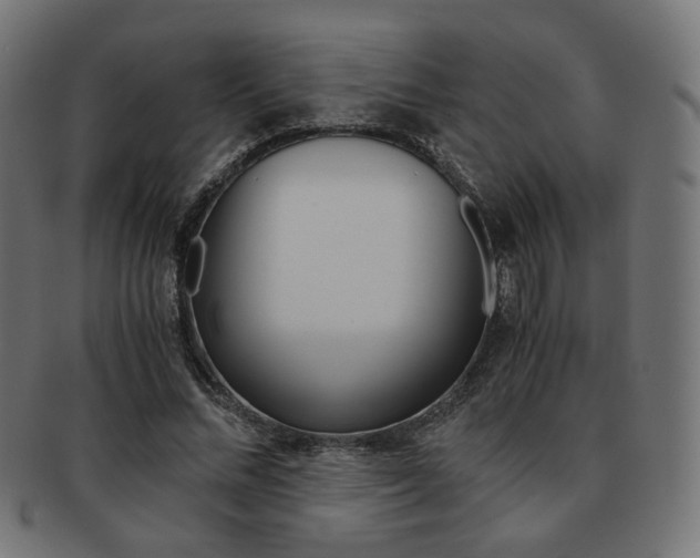 X0000092020684200709061330