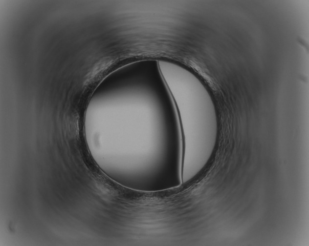X0000092020685200709061330