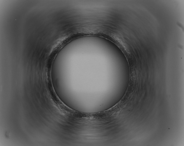 X0000092020688200709061330