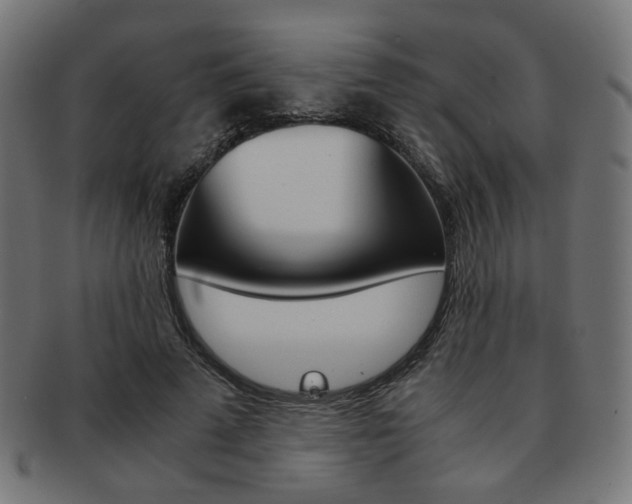 X0000092020689200709061330