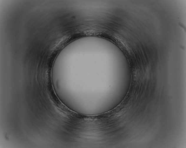 X0000092020690200709061330