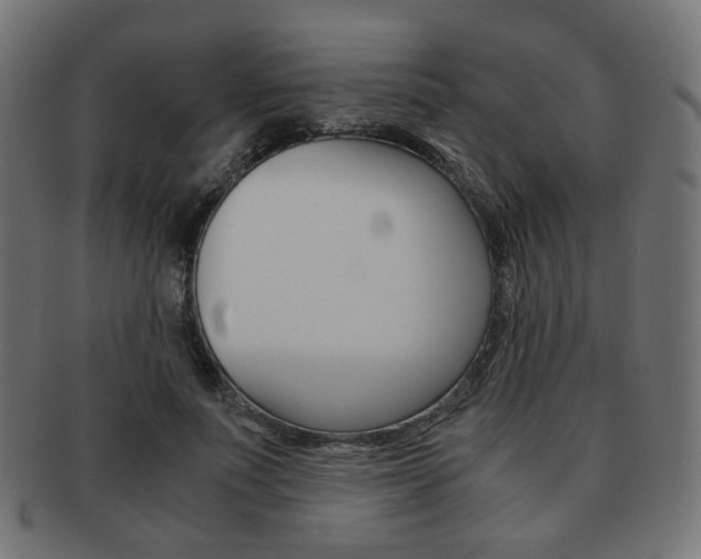 X0000092020691200709061330
