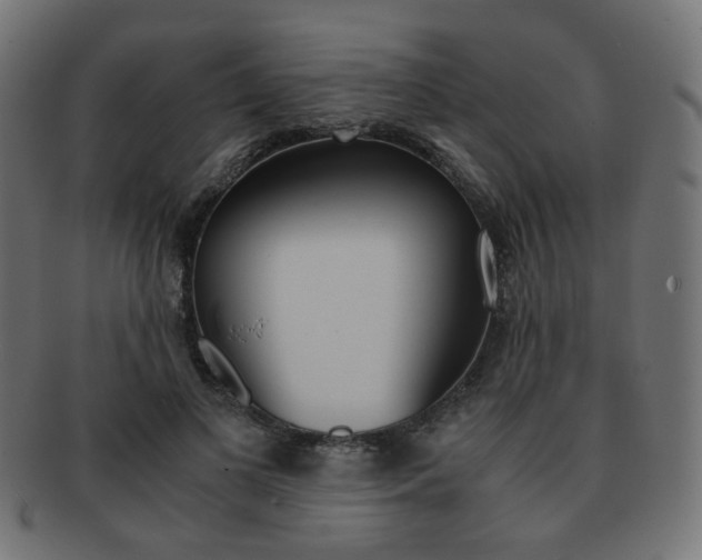 X0000092020693200709061330