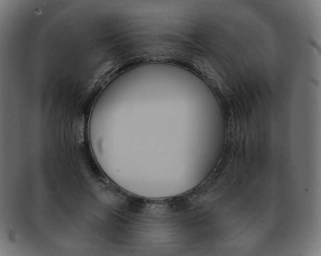 X0000092020694200709061330