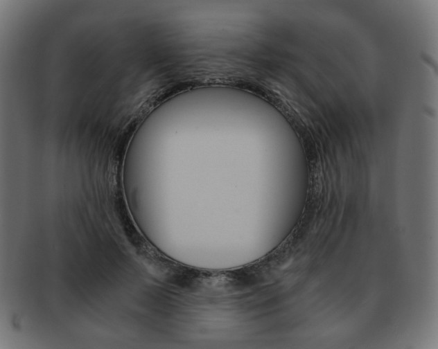 X0000092020695200709061330