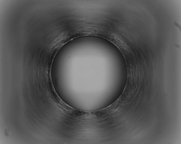 X0000092020696200709061330