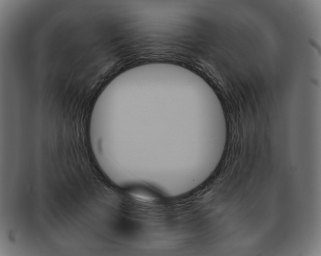 X0000092020697200709061330