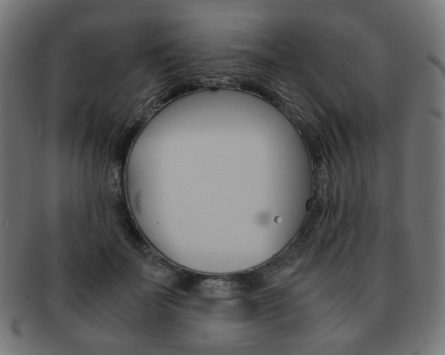 X0000092020699200709061330