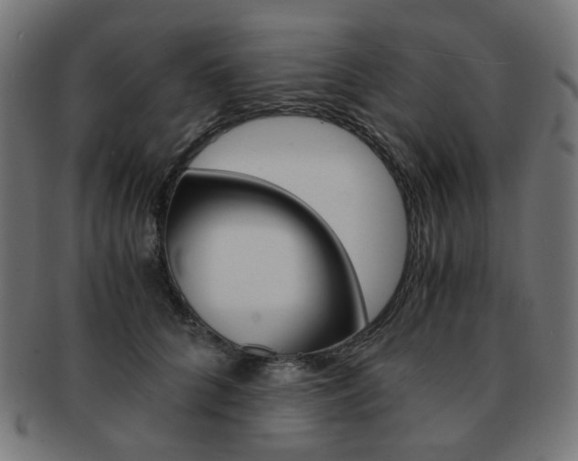 X0000092020704200709061330