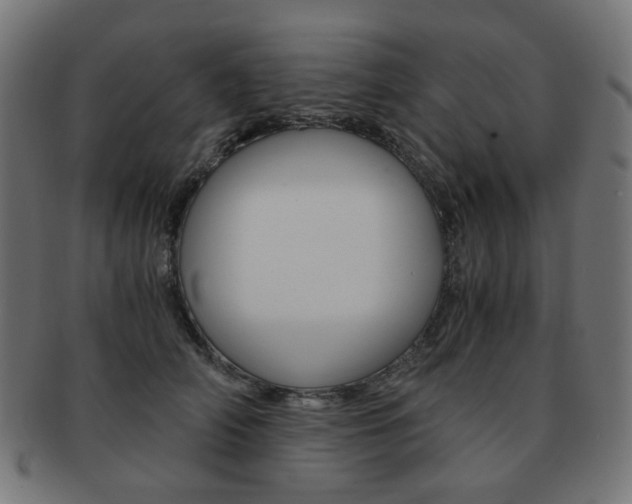X0000092020706200709061330