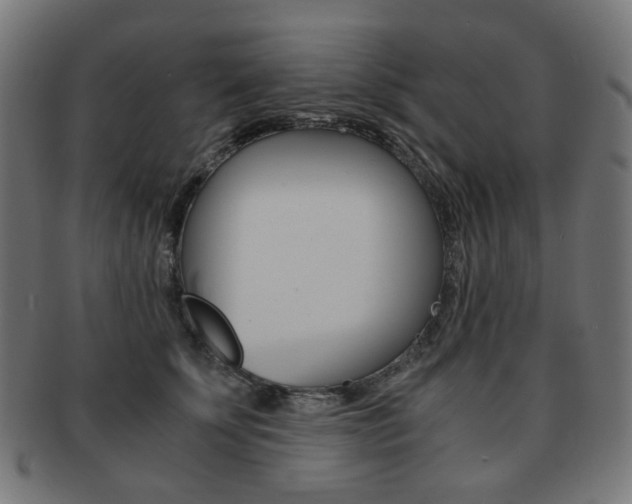 X0000092020707200709061330