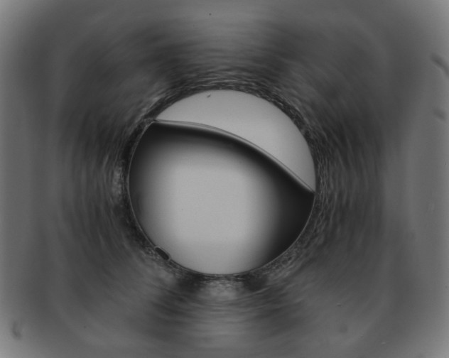 X0000092020708200709061330