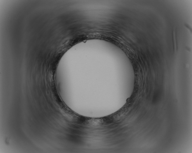 X0000092020711200709061330
