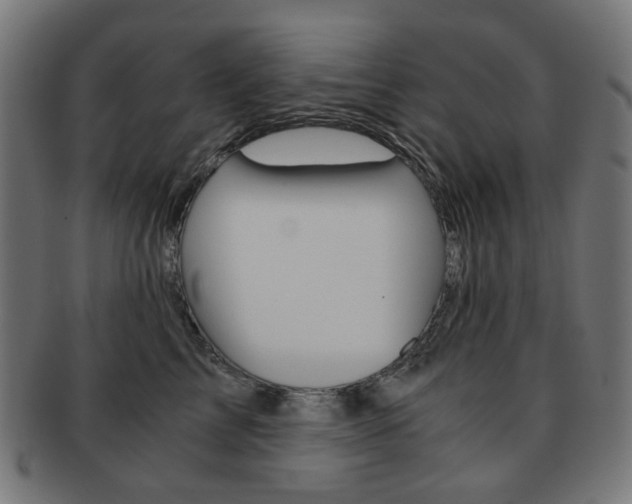 X0000092020713200709061330