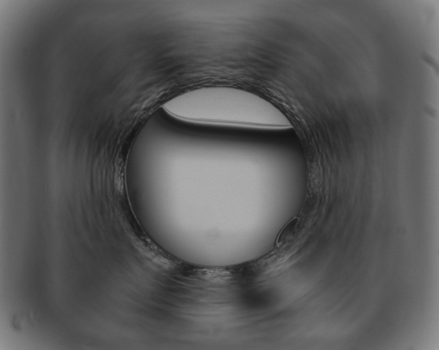 X0000092020719200709061330