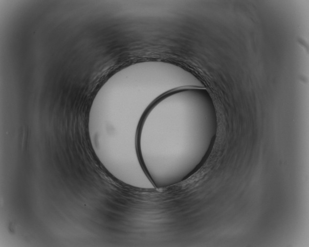 X0000092020720200709061329