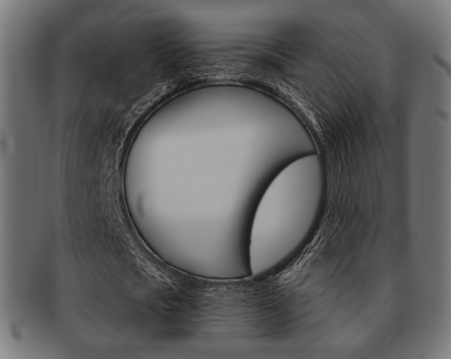 X0000092020721200709061329